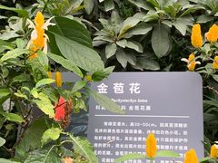 -北京植物园-展览温室