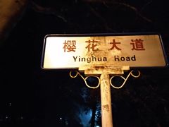 -武汉大学-樱园