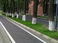 -四川大学(望江校区)