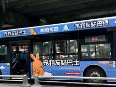 -帕帕拉兹宠物(亚洲旗舰店)