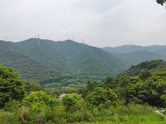 -北仑森林植物园