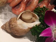 -德川家日本料理(龙德广场店)