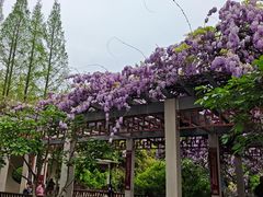 -郑和公园
