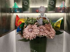 -宝藏绿洲(扬韬广场店)