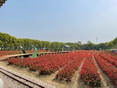 -广东花都香草世界旅游度假区