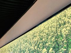 -遇见湘·地道湖南菜(云门店)
