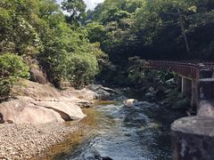 -广州市石门国家森林公园