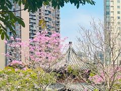 -四海公园(南山区)