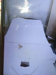 -CICI纤美·科技减肥美容