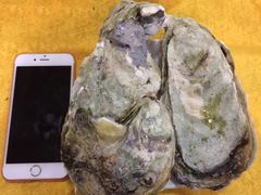 -蚝专家(北滘店)