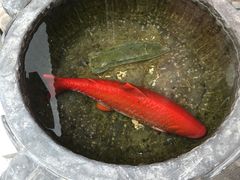 -石头门坎
