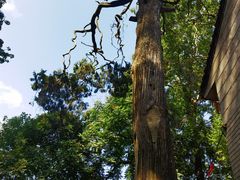 -终南山南五台景区