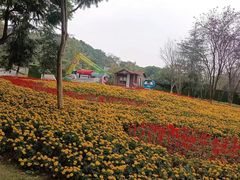 -铁山坪森林公园