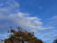 -海埂大坝