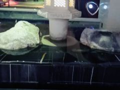 -卡拉卡拉漫温泉汗蒸