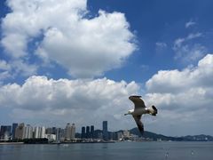 -黑石礁公园