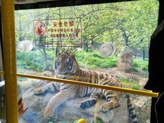 -栾川竹海野生动物园