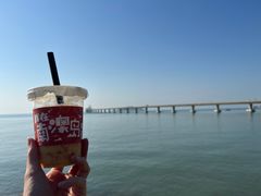 -南澳岛打卡果汁冰公司