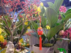 -双季花艺园艺市场(浦东店)