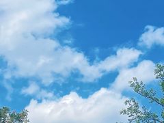 -佛手湖郊野公园