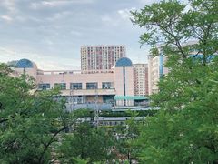 -莲花池公园