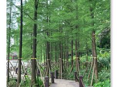 -重庆彩云湖湿地公园