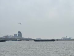 -上海滨江森林公园