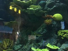 -福州罗源湾海洋世界旅游区