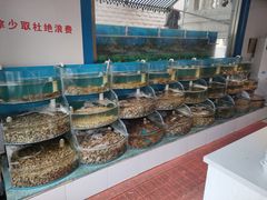 水产区-同道蒸汽海鲜烧烤自助(刘庄夜市店)