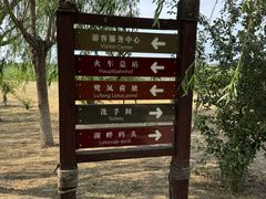 -西青郊野公园