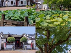 -清漾毛氏文化村