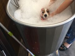 -PETKIT小佩宠物(古北店)