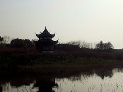 -上海海湾国家森林公园