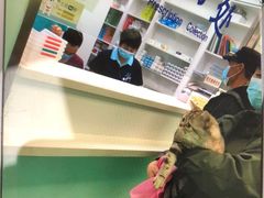 -北京观赏动物医院·24小时大型综合·猫专科·异宠专科
