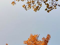 -房湖公园