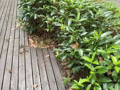 -VPsmart私教健身工作室(新华路旗舰店)