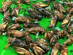 -席娜卡琳火车铁道夜市