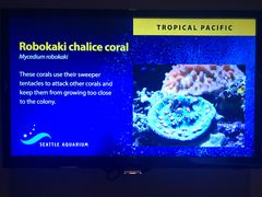 -西雅图水族馆
