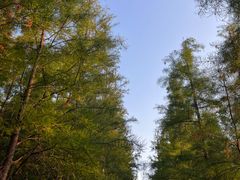 -云龙湖旅游景区