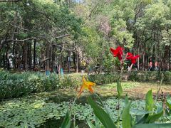 -东湖落雁景区