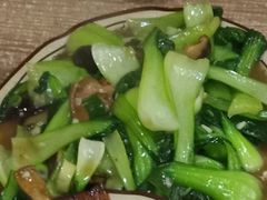 香菇青菜-共春园饺子馆(桑田大楼店)