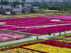 -中国天府农业博览园