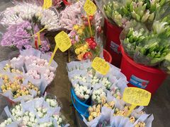 -循礼门鲜花花市(武汉循礼门店)