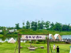 -空港花田景区