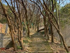 -涂山寺素食餐厅