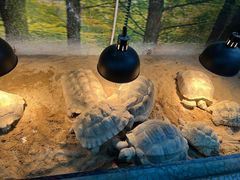 -上海昆虫博物馆