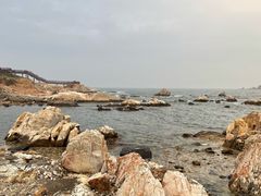 -养马岛旅游度假区