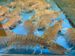 -三亚火车头万人海鲜广场