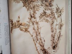 -二酉书店TOYOU BOOKS