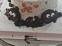 -幸福里DIY蛋糕烘焙·团建·拼豆豆(普陀店)